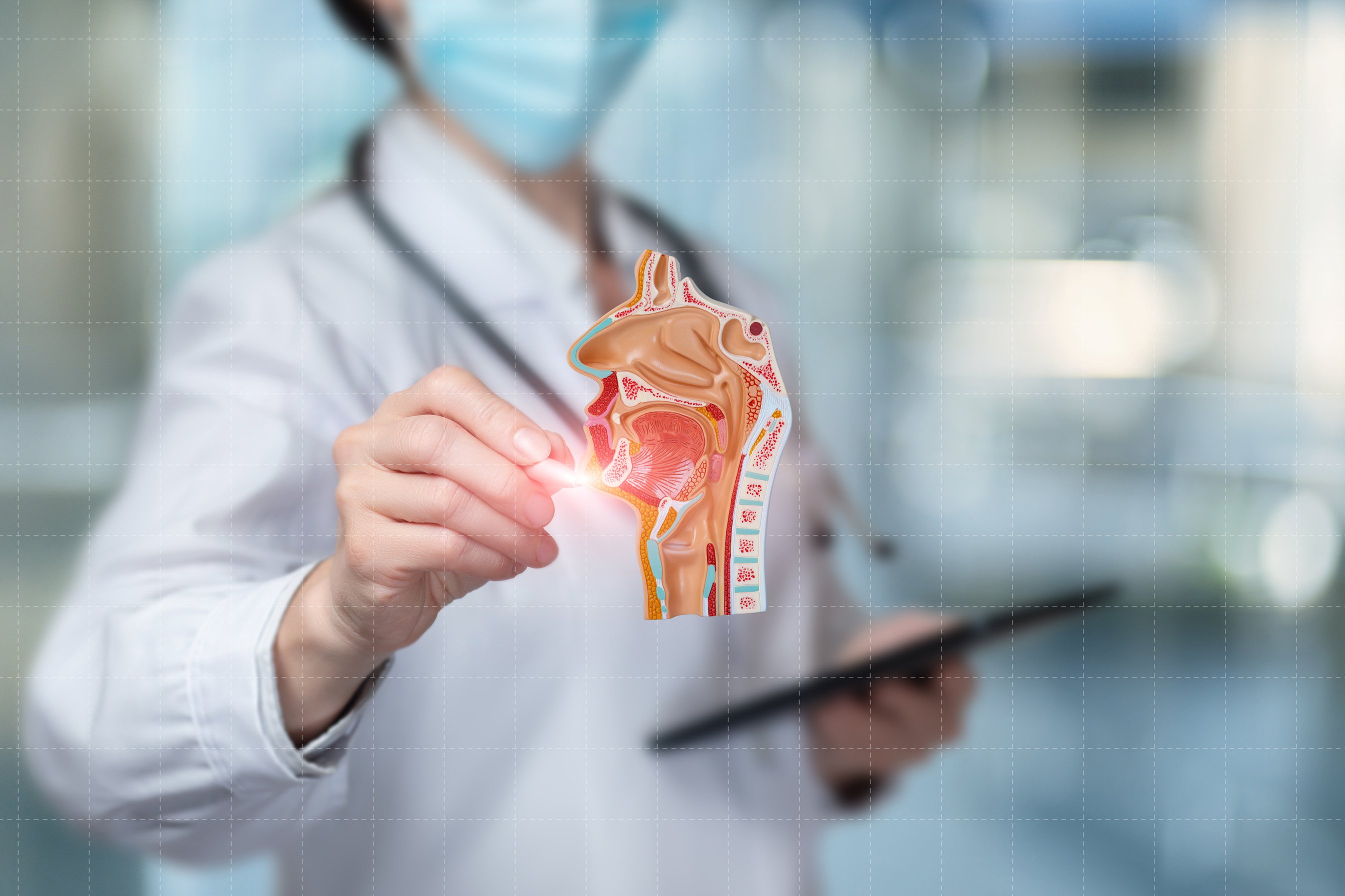 A doctor draws the anatomy of the patient mucosa.