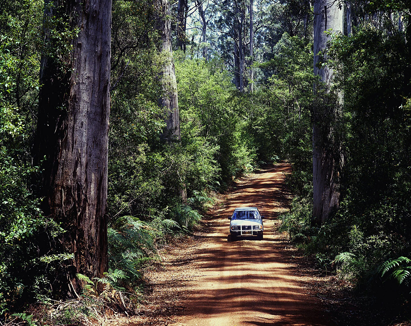 Driving on Warren National Park