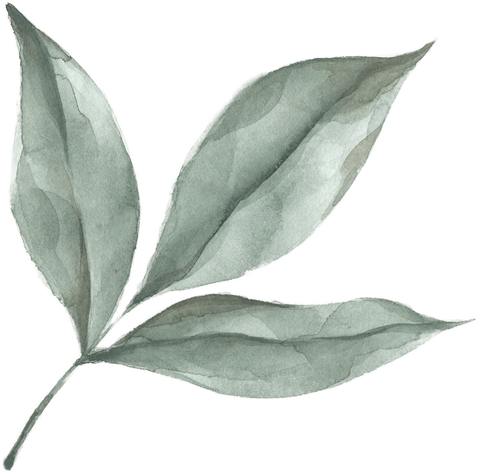 Modern oasis leaf