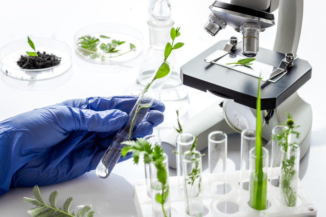 Biologist researching plants with microscope in biological chemistry lab