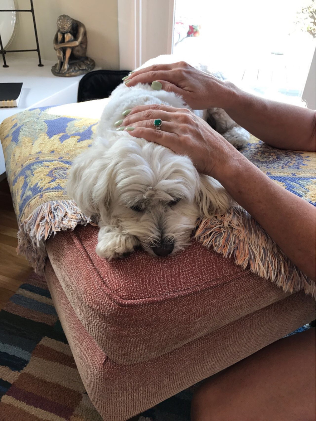 Reiki for pets