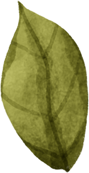 Watercolor Individual Leaf