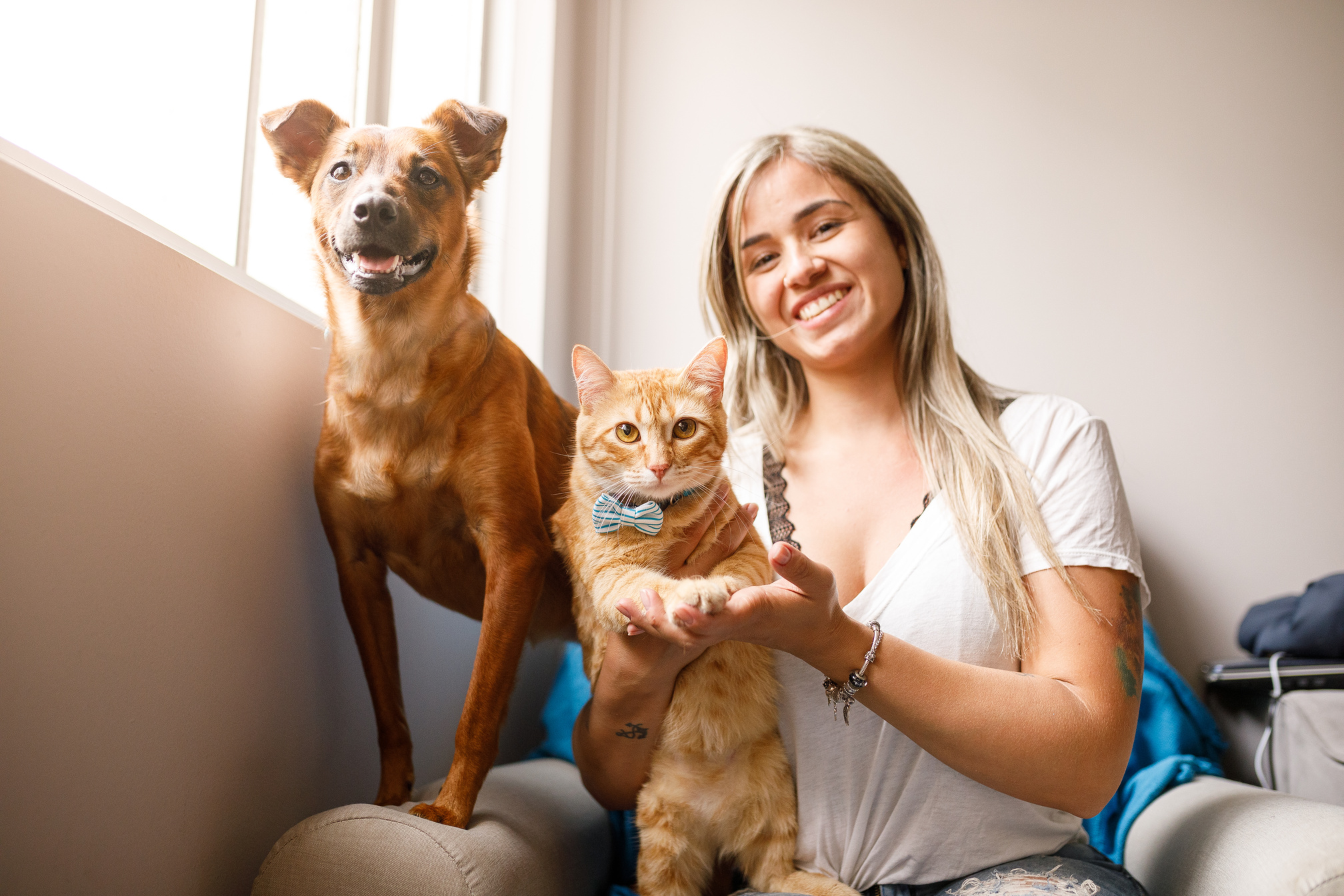 Pet family portrait