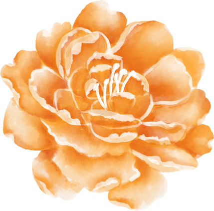 Watercolor Individual Orange Flower